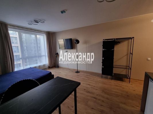 Сдам однокомнатную (1-комн.) квартиру, Авиаторов Балтики пр-кт, 29к2, Мурино п