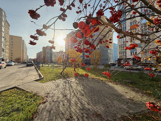 Продам трехкомнатную (3-комн.) квартиру, Деловая ул, 22 кор.2, Нижний Новгород г