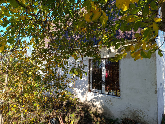 Продам дом, Земляне тер. СПК, 0 км от города