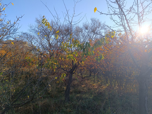 Продам дом, Земляне тер. СПК, 0 км от города