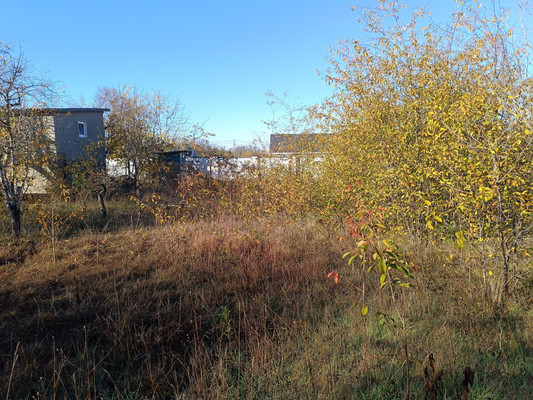 Продам дом, Земляне тер. СПК, 0 км от города