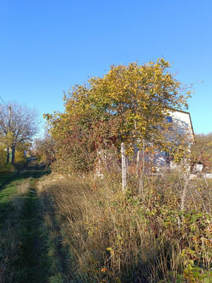 Продам дом, Земляне тер. СПК, 0 км от города