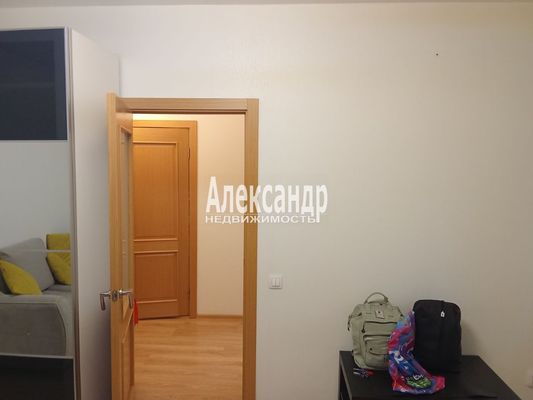 Продам однокомнатную (1-комн.) квартиру, Дальневосточный пр-кт, 25к1, Санкт-Петербург г