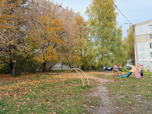 Продам двухкомнатную (2-комн.) квартиру, Надежды Сусловой ул, 4к4, Нижний Новгород г