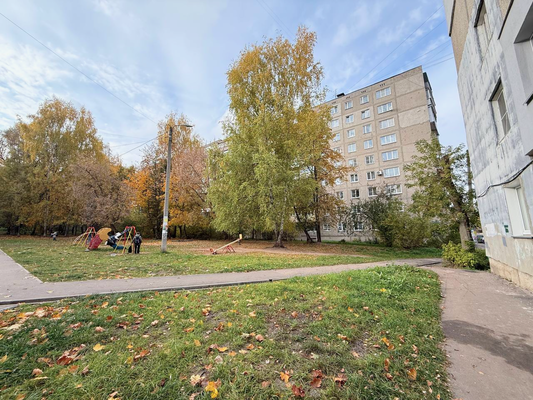 Продам двухкомнатную (2-комн.) квартиру, Надежды Сусловой ул, 4к4, Нижний Новгород г