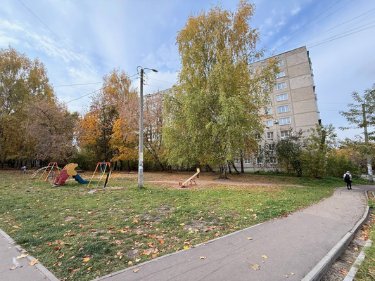 Продам двухкомнатную (2-комн.) квартиру, Надежды Сусловой ул, 4к4, Нижний Новгород г