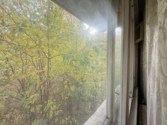 Продам двухкомнатную (2-комн.) квартиру, Надежды Сусловой ул, 4к4, Нижний Новгород г