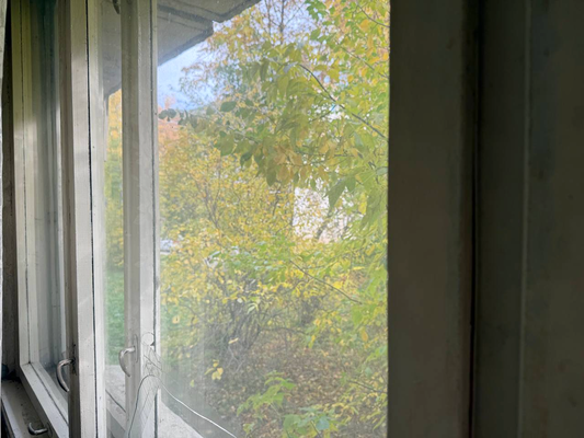 Продам двухкомнатную (2-комн.) квартиру, Надежды Сусловой ул, 4к4, Нижний Новгород г