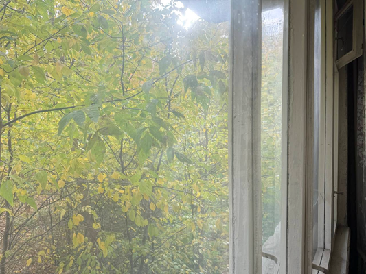 Продам двухкомнатную (2-комн.) квартиру, Надежды Сусловой ул, 4к4, Нижний Новгород г