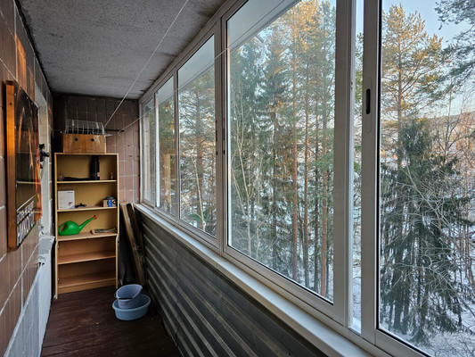 Продам однокомнатную (1-комн.) квартиру, Парковая ул, 3, Костомукша г