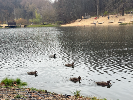 Продам однокомнатную (1-комн.) квартиру, Героя Советского Союза Аристархова ул, 7, Нижний Новгород г