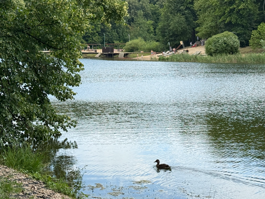 Продам двухкомнатную (2-комн.) , Краснозвездная ул, 31, Нижний Новгород г