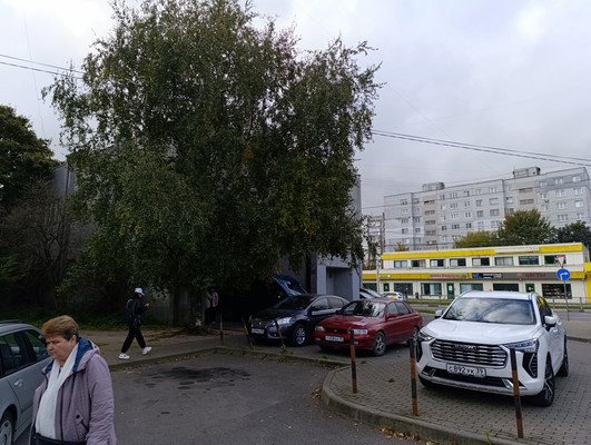 Продам коммерческое помещение 210,7 м2, Горького ул, 148, Калининград г