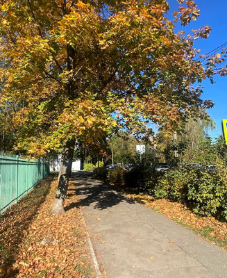 Продам трехкомнатную (3-комн.) квартиру, 21, им. Тельмана п