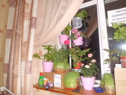 Сдам комнату в 4-комн. квартире, Краснопутиловская ул, 4, Санкт-Петербург г