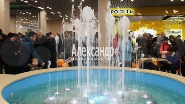 Продам торговое помещение 35 000 м2, Пушкинское ш, 15, Гатчина г
