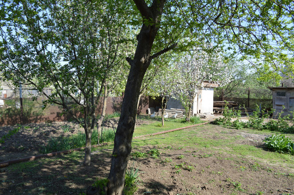 Продам дачу, Волгодонской Садовод тер. СНТ, 1040х, Волгодонск г, 0 км от города