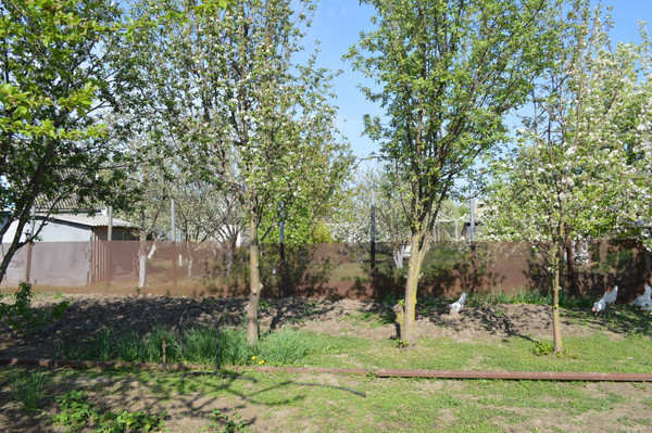 Продам дачу, Волгодонской Садовод тер. СНТ, 1040х, Волгодонск г, 0 км от города