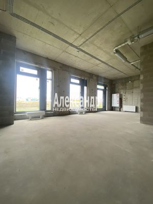 Сдам торговое помещение 47 м2, Чудовская ул, 14к1, Шушары п