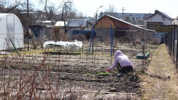 Продам дачу, Почтовая квартал 2 ул, 146, Старый Городок п, 0 км от города