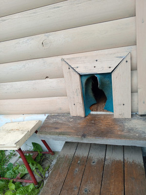 Продам дачу, Нижняя Колония тер. СНТ, 0 км от города