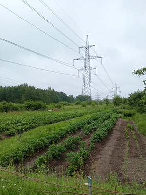 Продам дачу, Нижняя Колония тер. СНТ, 0 км от города