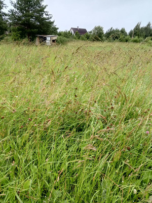 Продам дачу, Нижняя Колония тер. СНТ, 0 км от города