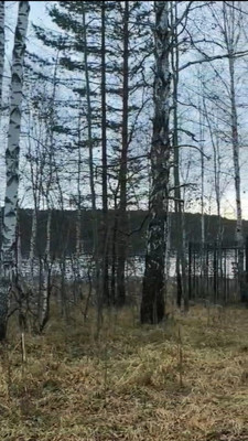 Продам участок 50 соток, Садоводство, Байкальский тракт тер, 0 км от города