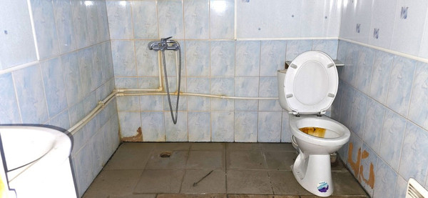 Продам дом, Перспективная ул, 75, Большое Свинорье д, 0 км от города