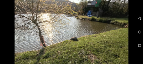 Продам участок 4 соток, ИЖС, Заречный пер, 11, Кирпичное с, 0 км от города