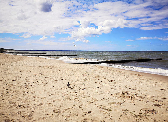 Продам однокомнатную (1-комн.) квартиру (долевое), Пугачева ул, 2, Зеленоградск г