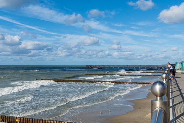 Продам однокомнатную (1-комн.) квартиру (долевое), Пугачева ул, 2, Зеленоградск г