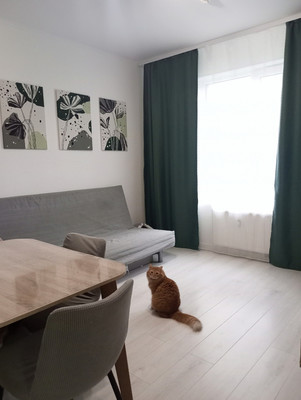 Продам двухкомнатную (2-комн.) квартиру, Дудко ул, 9к1, Санкт-Петербург г