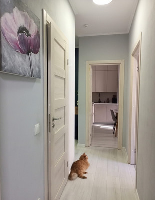 Продам двухкомнатную (2-комн.) квартиру, Дудко ул, 9к1, Санкт-Петербург г