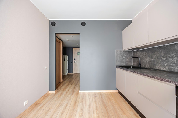 Продам однокомнатную (1-комн.) квартиру, Заозёрная ул, 3к3, Санкт-Петербург г