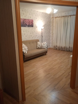 Сдам однокомнатную (1-комн.) квартиру, Парашютная ул, 23к1, Санкт-Петербург г