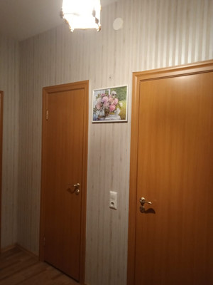 Сдам однокомнатную (1-комн.) квартиру, Парашютная ул, 23к1, Санкт-Петербург г