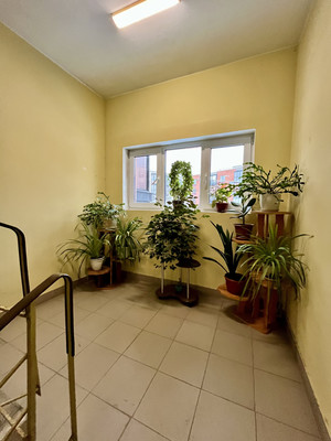 Продам однокомнатную (1-комн.) квартиру, Юности ул, 4, Шолохово д