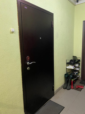 Продам однокомнатную (1-комн.) квартиру, Курыжова (Южный мкр.) ул, 19к2, Домодедово г