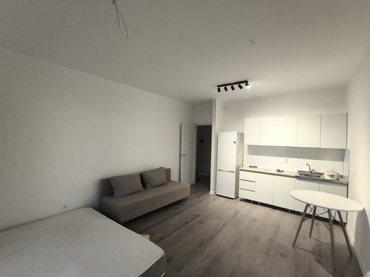 Сдам однокомнатную (1-комн.) квартиру, Первых ул, 4к7, Новосаратовка д