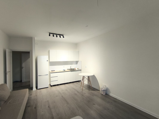 Сдам однокомнатную (1-комн.) квартиру, Первых ул, 4к7, Новосаратовка д