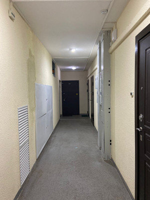 Продам однокомнатную (1-комн.) квартиру, Екатерининская ул, 7к1, Мурино п