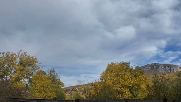 Продам участок 16 соток, ИЖС, Ленина ул, Соколиное с, 0 км от города