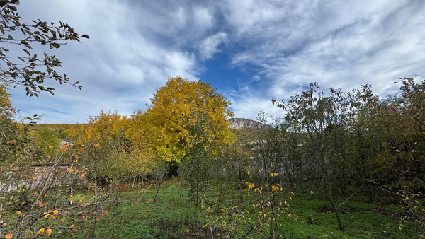 Продам участок 16 соток, ИЖС, Ленина ул, Соколиное с, 0 км от города