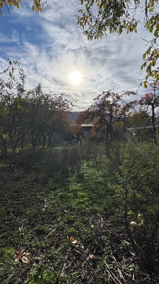 Продам участок 16 соток, ИЖС, Ленина ул, Соколиное с, 0 км от города