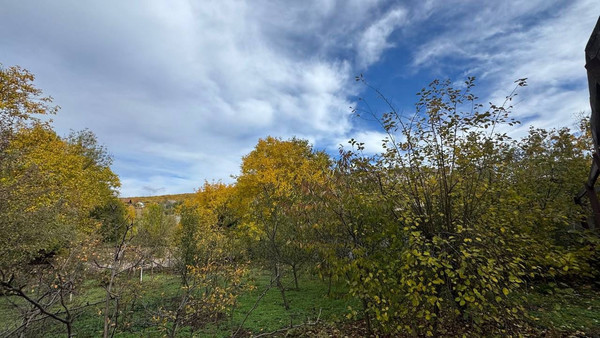 Продам участок 16 соток, ИЖС, Ленина ул, Соколиное с, 0 км от города