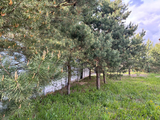 Продам дом, Минино д, 0 км от города