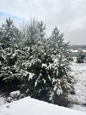 Продам дом, Минино д, 0 км от города