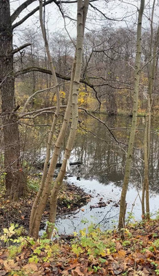 Продам однокомнатную (1-комн.) квартиру, Сержанта Мишина ул, 83, Калининград г