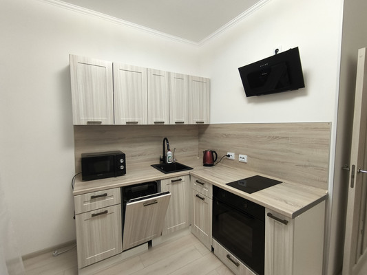 Сдам однокомнатную (1-комн.) квартиру, Арцеуловская аллея, 7к2, Санкт-Петербург г